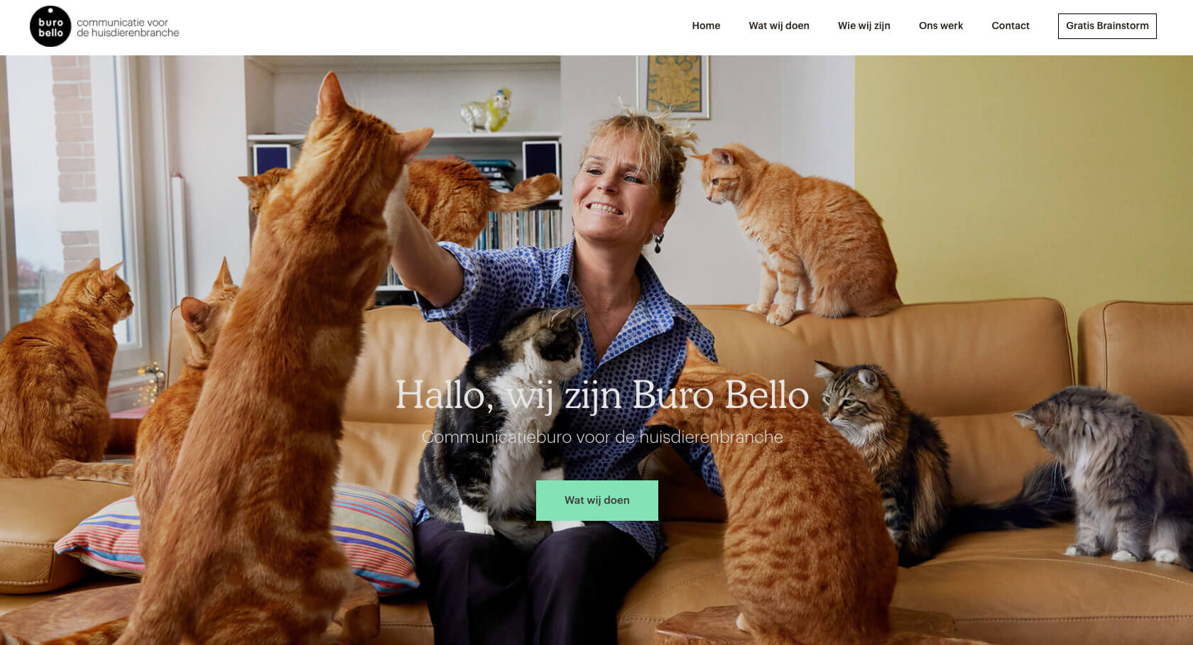 buro-bello.com